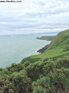 Randonnée le long de la falaise - Howth