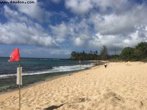 La plage des Tortues - Côte Nord - Oahu