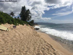 La plage des Tortues - Côte Nord - Oahu