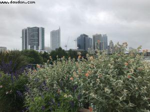 Austin