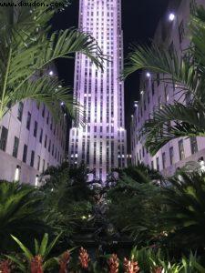Ville de New York
