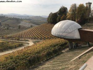 Wine Tasting - Ceretto - Alba