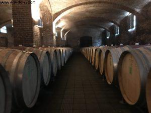 Wine Tasting - Ceretto - Alba