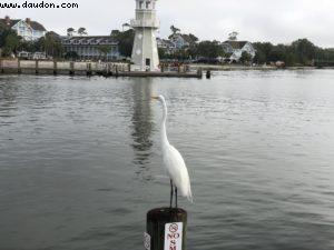 Boardwalk - Walt Disney World