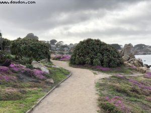 Monterey - Californie 