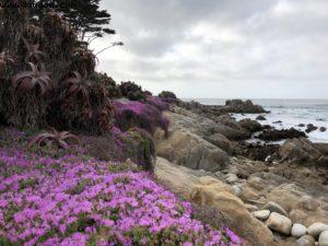 Monterey - Californie 