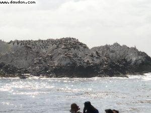 Carmel - Californie 