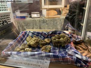 Foire aux Truffes - Alba