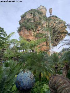 Animal Kingdom - Walt Disney World