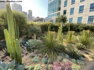Salesforce Park - San Francisco, California 
