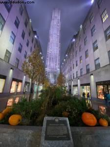 New York City