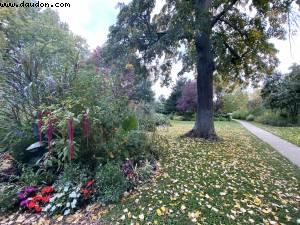 Bois de Vincennes - Paris, France (October 2020)