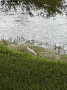 Walking between Epcot and the studios - Walt Disney World - Orlando, Florida