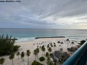 Hilton Hotel - Barbados