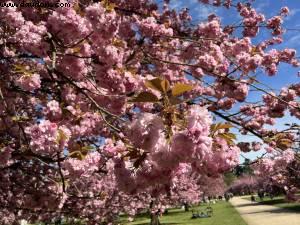 Parc de Sceaux - Sceaux, France