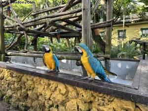Cartagena, Colombia - Norwegian Pearl - RSVP Cruise