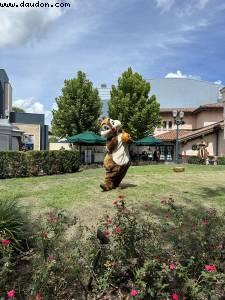 Hollywood Studios - Walt Disney World