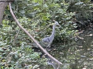 Bois de Vincennes - Paris, France