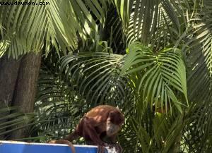 Cartagene des Indes, Colombie - Atlantis Tropical America Cruise
