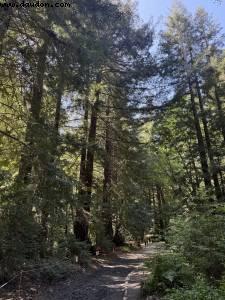 Driving from Santa Cruz to Pismo Beach, California