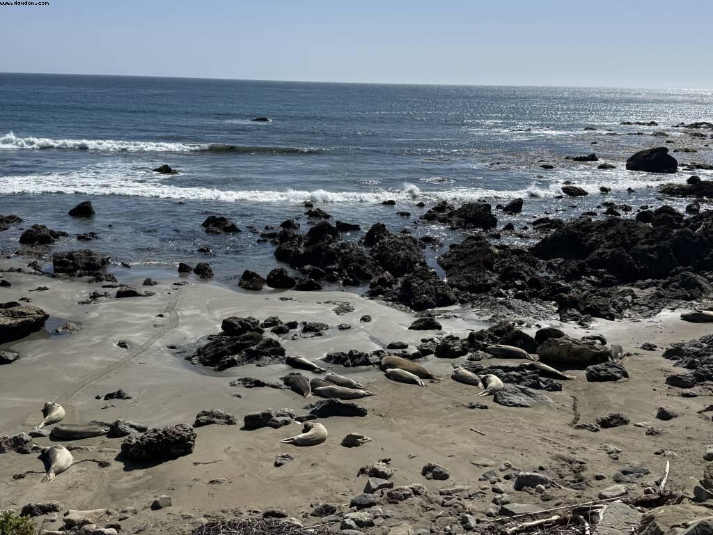 Driving from Santa Cruz to Pismo Beach, California