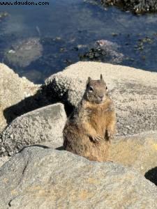 Driving from Santa Cruz to Pismo Beach, California