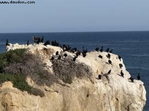 Driving from Pismo Beach to Los Angeles, California